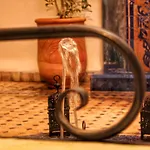 Riad Paloma